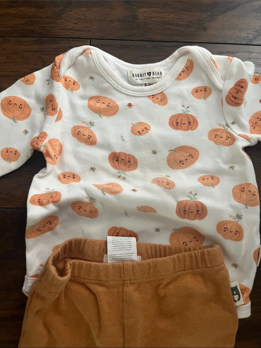 Bundle of 2 Rabbit and Bear Organic Fall outfits